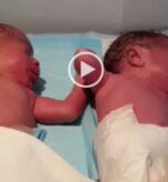 Twins